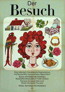 Visitor, The / La visita