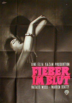 Fieber im Blut