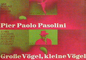 Grosse Vögel - kleine Vögel