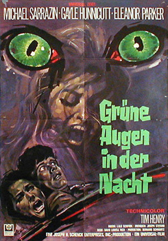 Eye of the cat