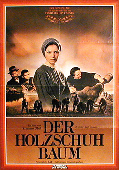 Holzschuhbaum, Der