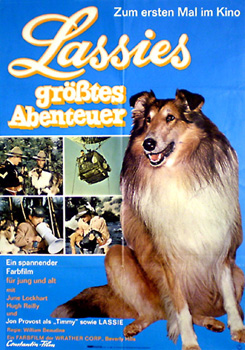 Lassies grösstes Abenteuer