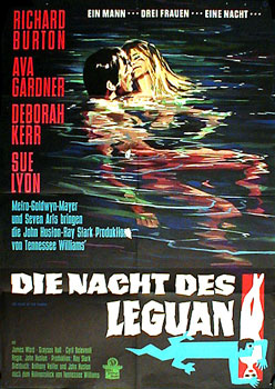 Nacht des Leguan, Die