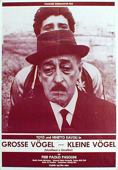 Grosse Vögel - kleine Vögel