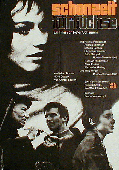 Schonzeit für Füchse