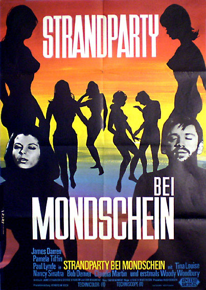 Strandparty bei Mondschein