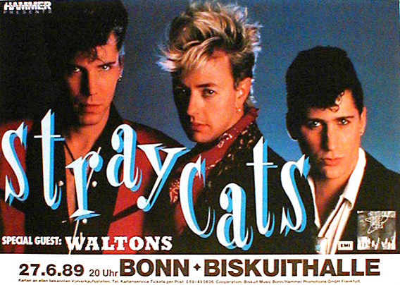 Stray Cats