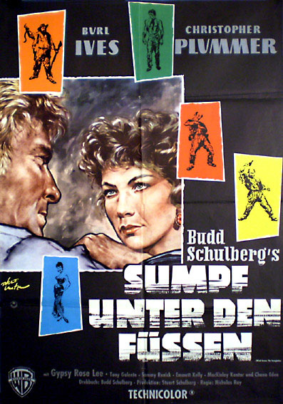 Wind across the Everglades