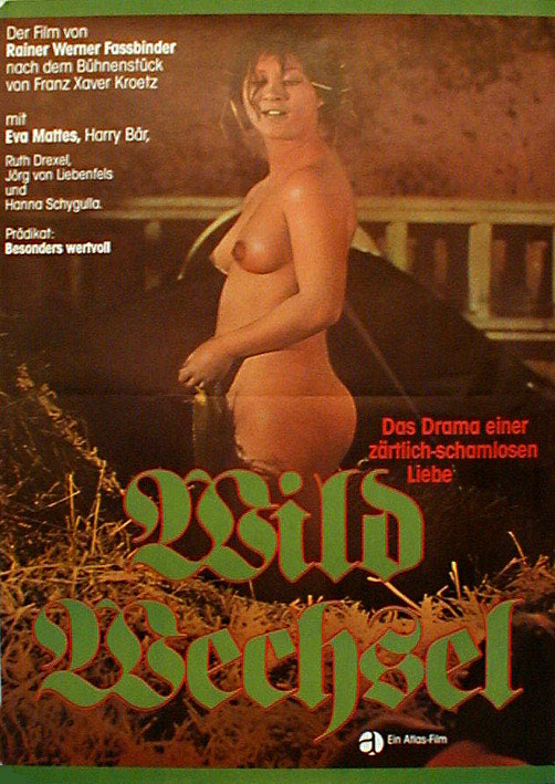 Wildwechsel / Wild game